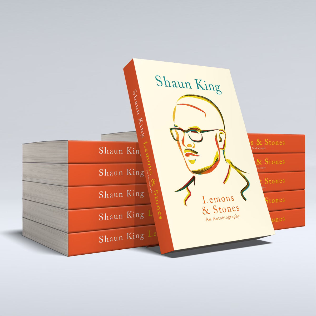 (SAVE 35) 12 Pack of Limited Hardcover Copies of Lemons & Stones The